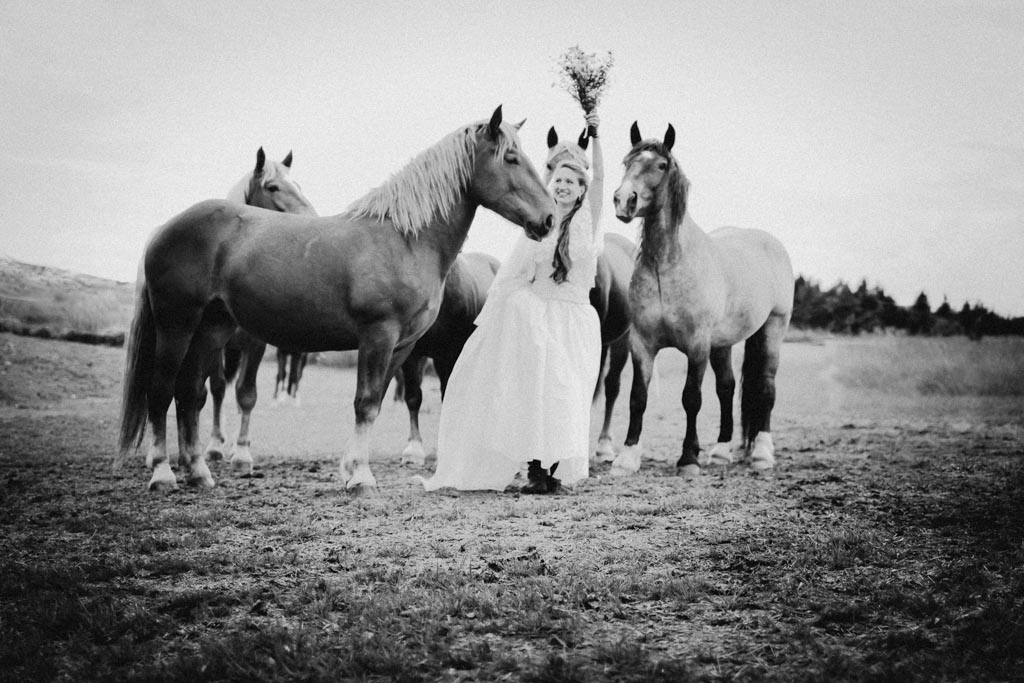 Hochzeitsfotos mit Pferden 022 3 - Naturverbundene Hochzeit mit Pferden in Niederösterreich