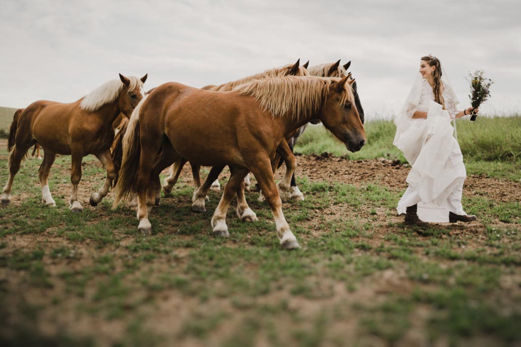 Hochzeitsfotos mit Pferden 023 3 - Naturverbundene Hochzeit mit Pferden in Niederösterreich