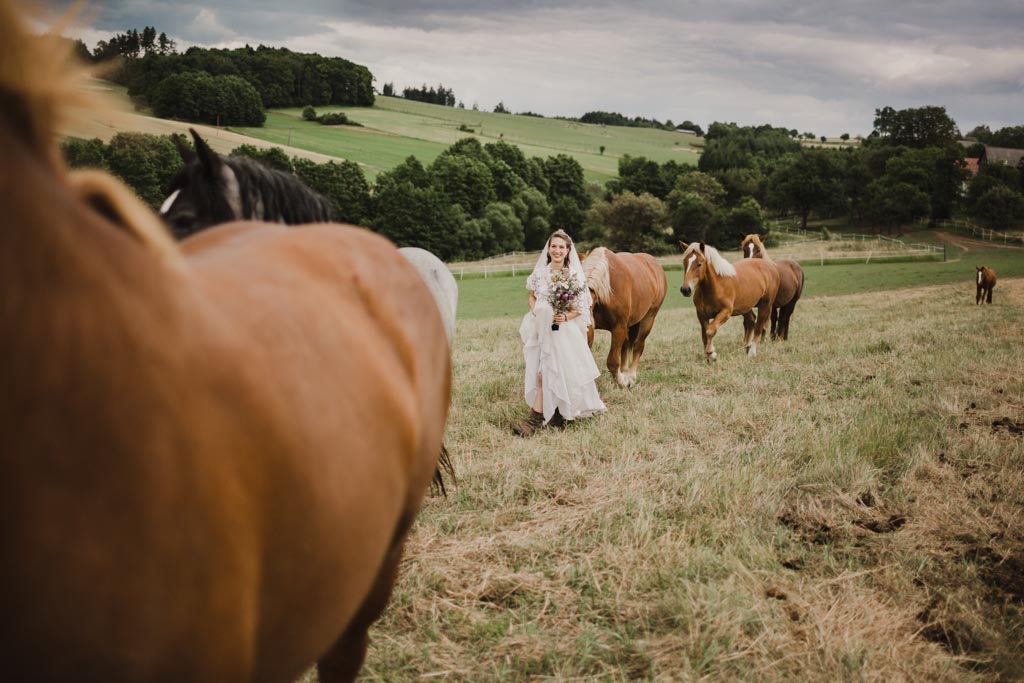 Hochzeitsfotos mit Pferden 025 3 - Naturverbundene Hochzeit mit Pferden in Niederösterreich