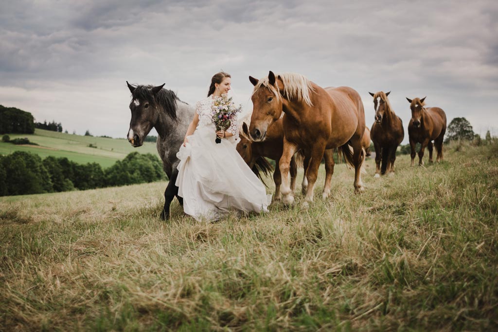 Hochzeitsfotos mit Pferden 026 3 - Naturverbundene Hochzeit mit Pferden in Niederösterreich
