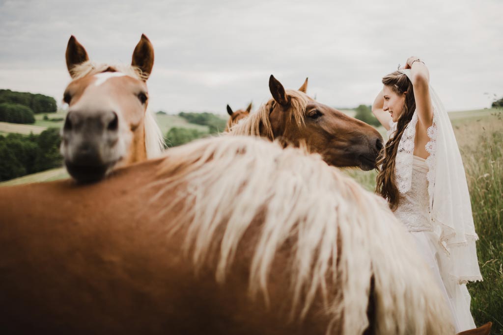 Hochzeitsfotos mit Pferden 028 3 - Naturverbundene Hochzeit mit Pferden in Niederösterreich