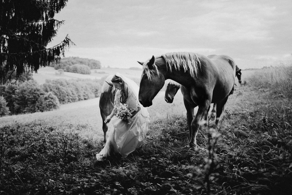 Hochzeitsfotos mit Pferden 029 3 - Naturverbundene Hochzeit mit Pferden in Niederösterreich